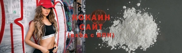 ГАЛЛЮЦИНОГЕННЫЕ ГРИБЫ Аркадак