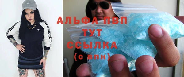 ГАЛЛЮЦИНОГЕННЫЕ ГРИБЫ Аркадак