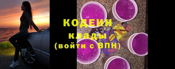 ГАЛЛЮЦИНОГЕННЫЕ ГРИБЫ Аркадак