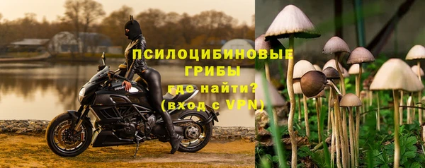 ГАЛЛЮЦИНОГЕННЫЕ ГРИБЫ Аркадак