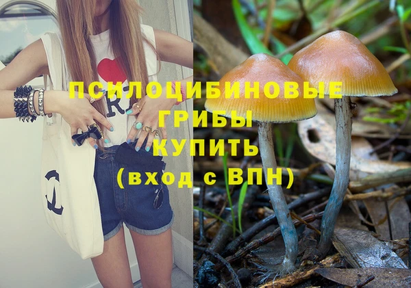 таблы Арсеньев