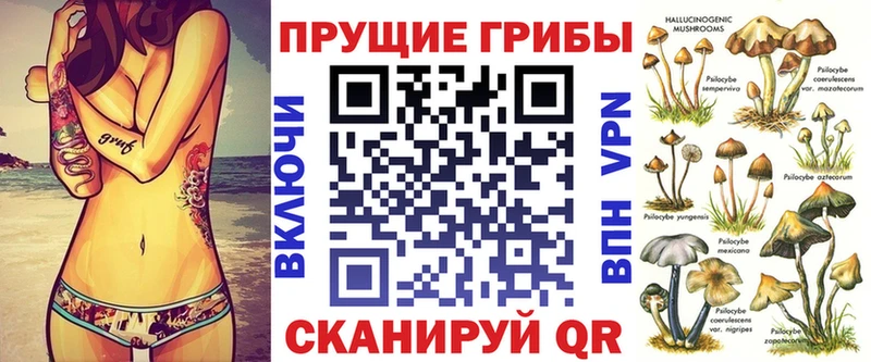 Галлюциногенные грибы Psilocybe  Баксан 
