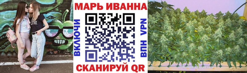 Шишки марихуана план Баксан