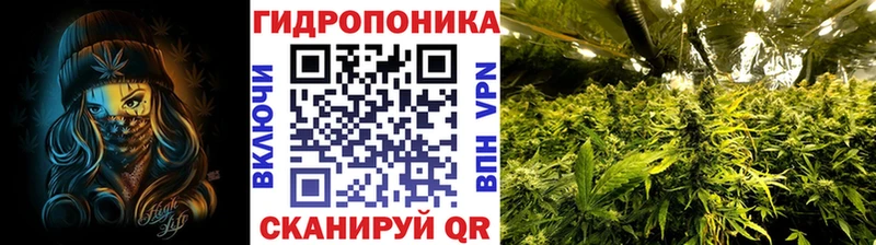 Бошки Шишки MAZAR  Баксан 